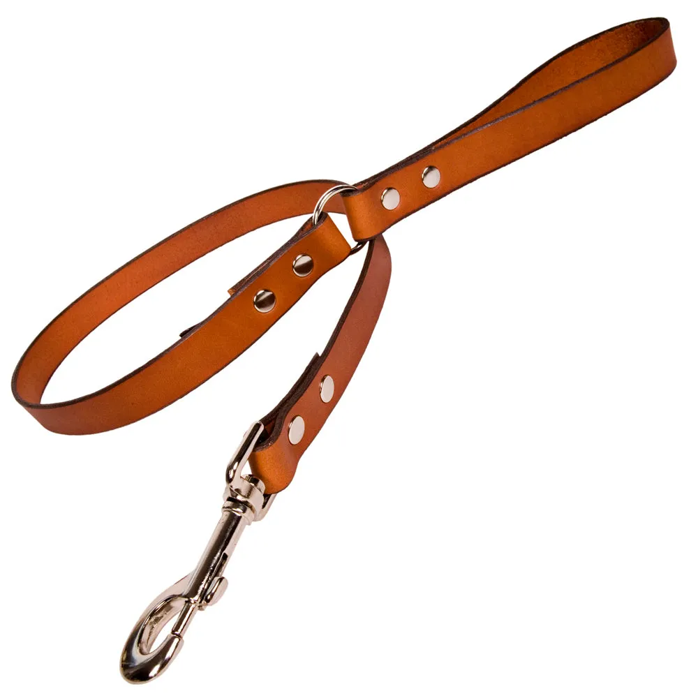 Creature Clothes Tan Leather Dog Leads