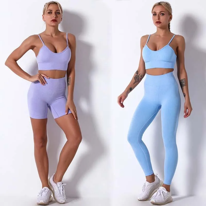 Yoga Set  Workout Shorts Sportswear Fitness Ensembles Sports Wear Women Outfits